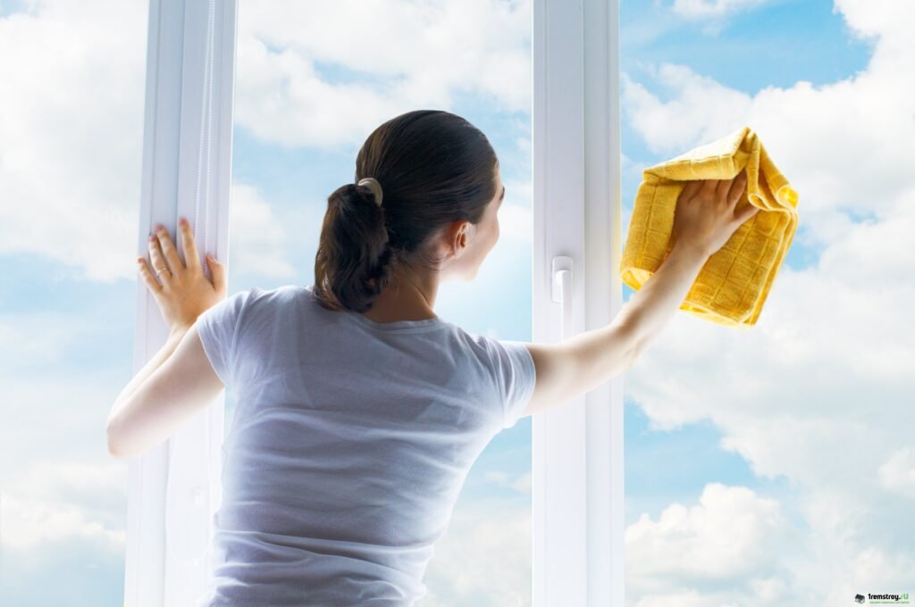 Windows Cleaning