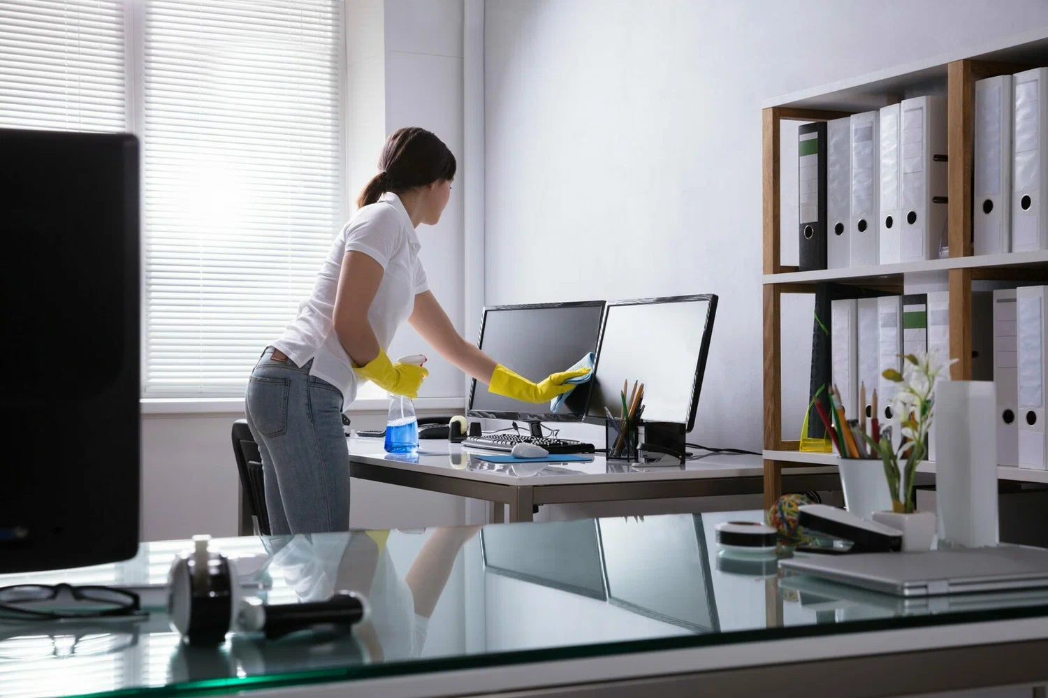 Office Professional Cleaning